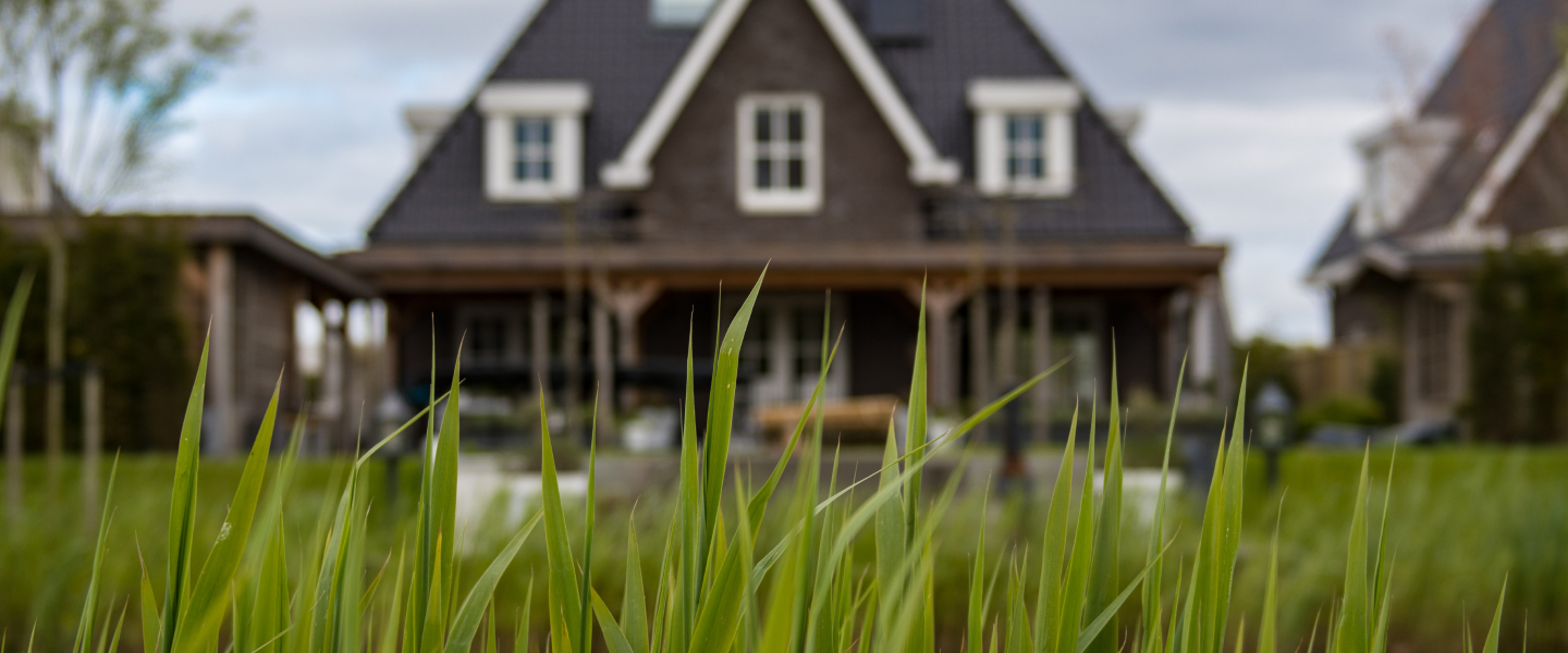 Grass with house in background